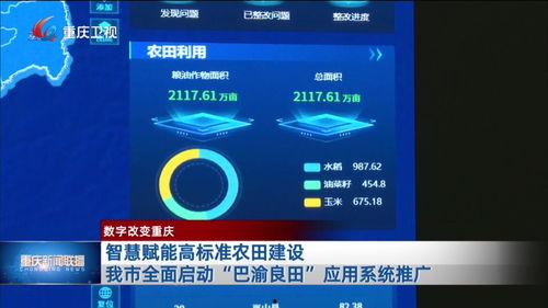 重庆新闻在哪儿能够爆料,市民爆料,聚焦民生热点问题 第3张 重庆新闻在哪儿能够爆料,市民爆料,聚焦民生热点问题 第3张